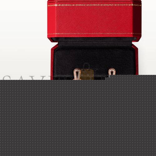 CARTIER AGRAFE EARRINGSN8515186
